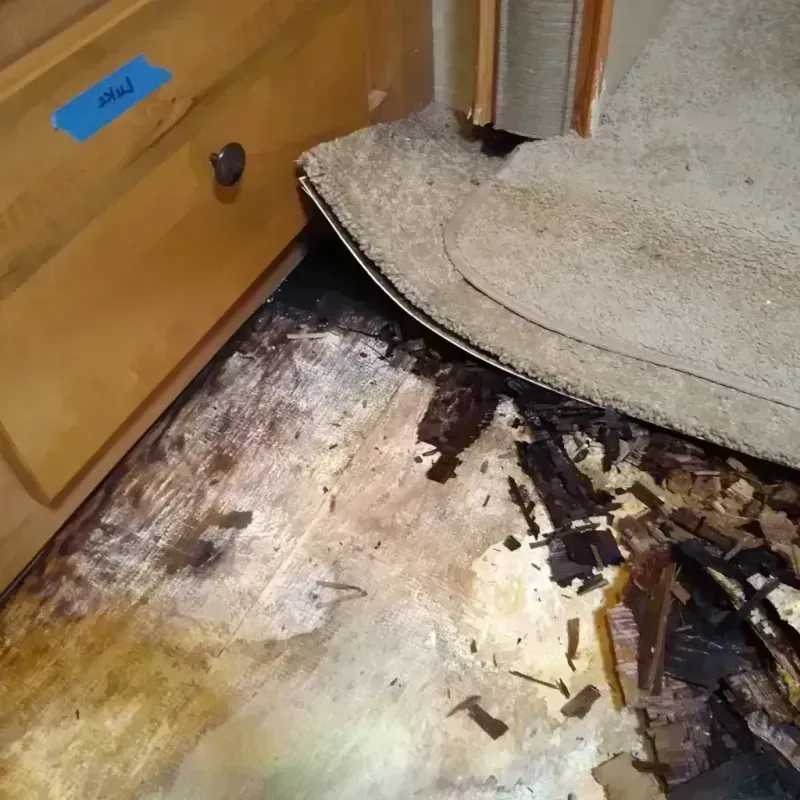 Best Wood Floor Water Damage Service in Atlantic, IA